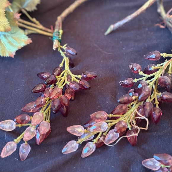 Vines of grapes - Picture 5 of 8